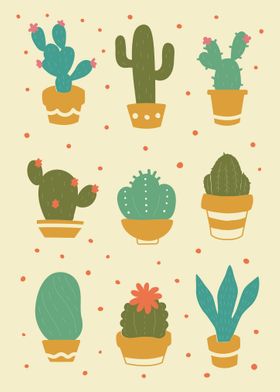 Succulents 