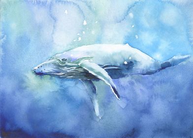 Whale watercolor painting