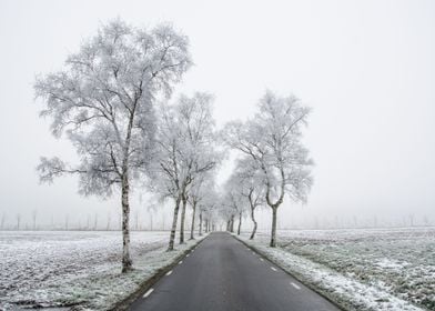 Frosty Road to where