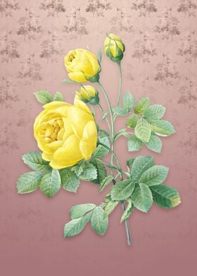 Vintage Yellow Rose