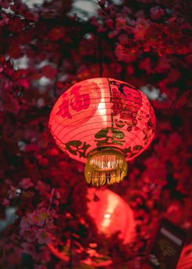 Chinese Lantern