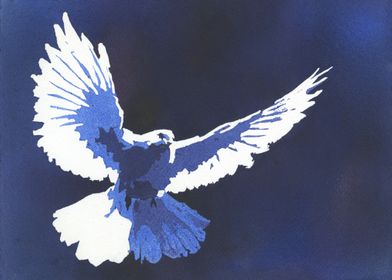 White Dove Painting Art