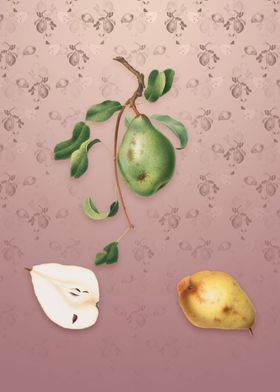 Vintage Pear on Dusty Pink