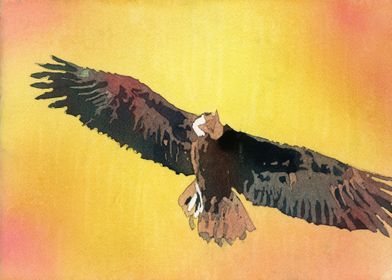 Eagle watercolor painting 