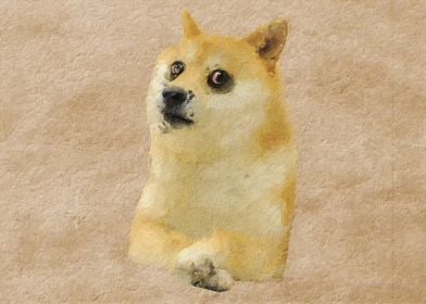 Doge meme