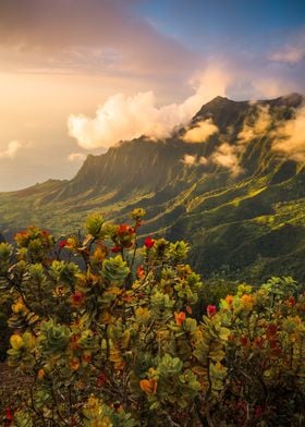 Valley sunset Kauai Hawaii