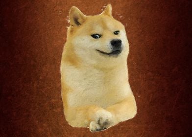 Doge meme