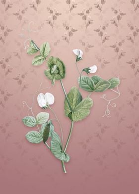 Vintage White Pea Flower