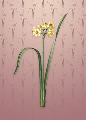 Cowslip Cupped Daffodil