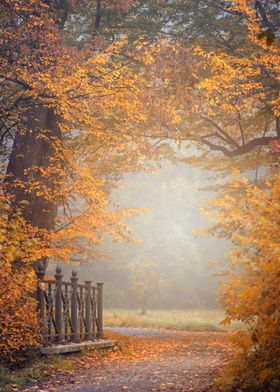 Autumn park, impression