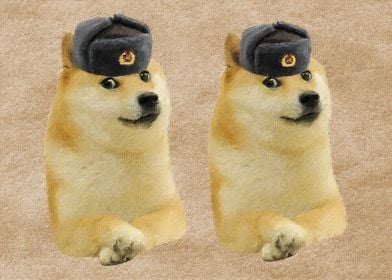 Doge meme