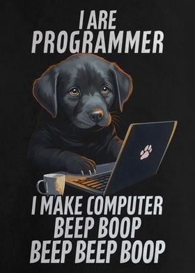 Programmer Meme Racoon