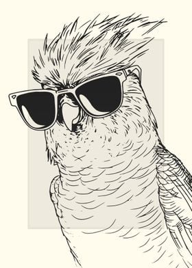 Cockatiel Bird Sketch