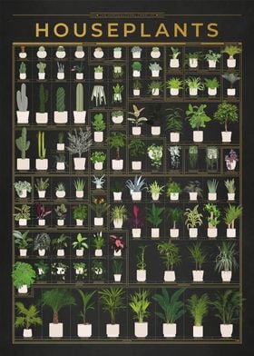 Gold Houseplants Chart