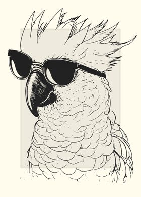 Cockatoo Bird Illustration