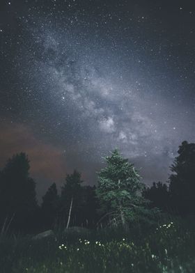Landscape and stars