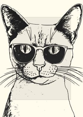 Colorpoint Shorthair Cat