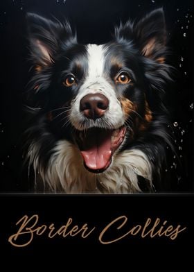 Border Collies