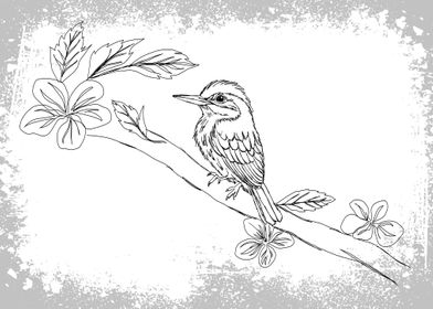 Bird Art Illustration