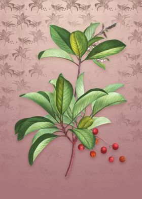 Greek Strawberry Tree