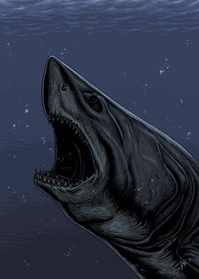 Megalodon