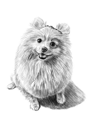 puppy pencil drawing