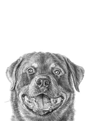 happy dog pencil drawing