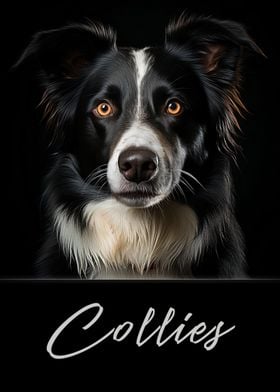 Collies