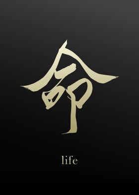 Kanji Symbol for Life