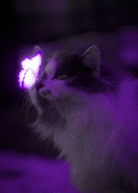 Magical Butterfly On Cat