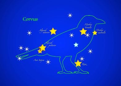 Constellation CORVUS