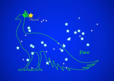 Constellation PAVO