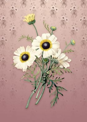 Vintage Chrysanthemum