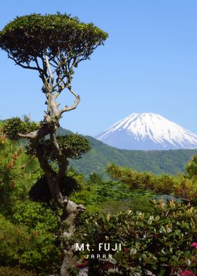 Mount Fuji