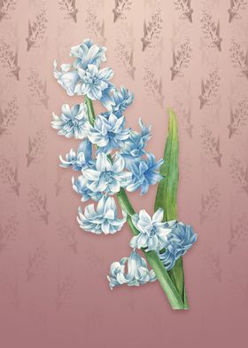 Vintage Oriental Hyacinth