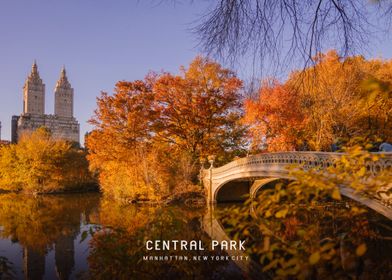 Central Park 