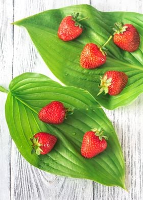 Fresh strawberries