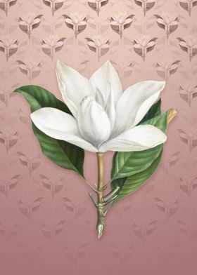 White Southern Magnolia