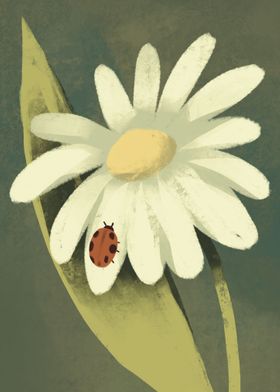 ladybug on a flower