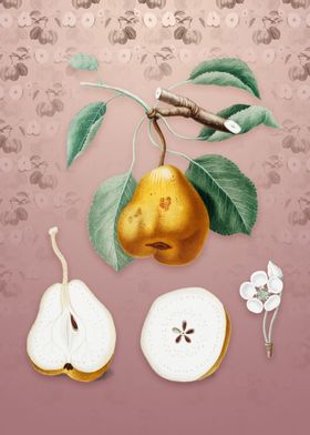 Vintage Pear on Dusty Pink