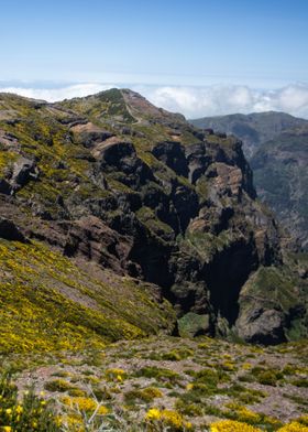 Madeira Landscape 10