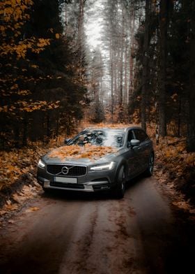 Volvo in Forest