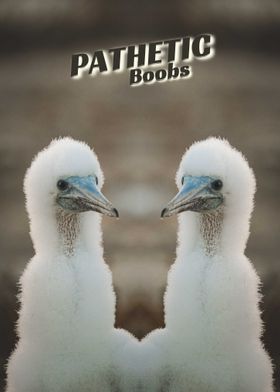 Pathetic Boobs Poster