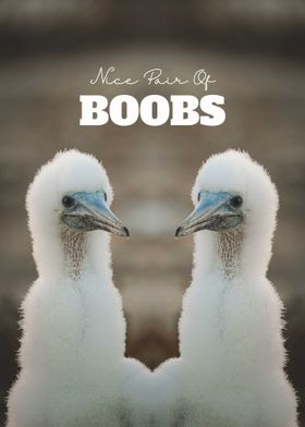 Boobies Posters Online - Shop Unique Metal Prints, Pictures, Paintings