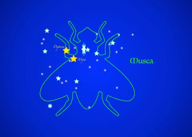 Constellation MUSCA