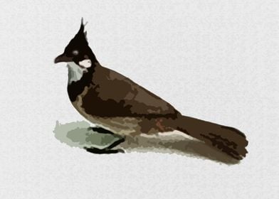 BulBul