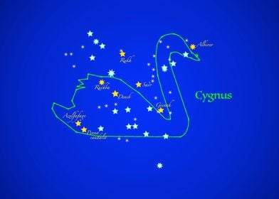 Constellation CYGNUS