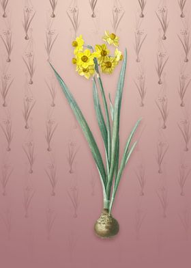 Daffodil on Dusty Pink