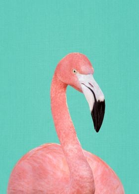 Flamingo in Blue