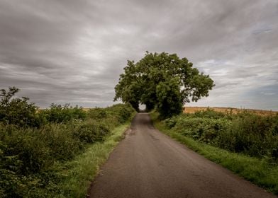 Storm Over the Old Road